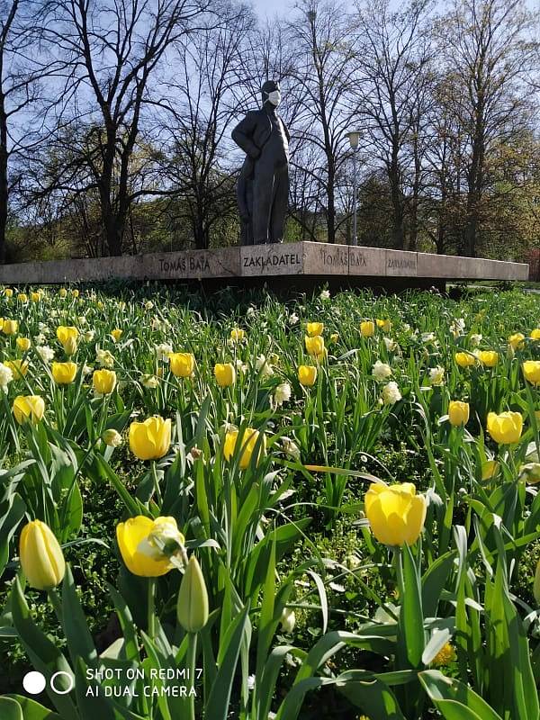 Jarní foto ze dne 16.04.2020 v Univerzitním parku ve Zlíně