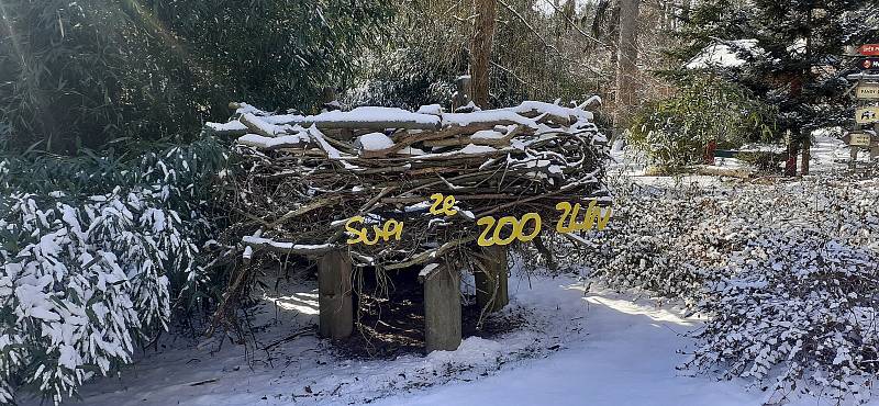Procházka v zasněžené Zoo Zlín - 22. 1. 2022