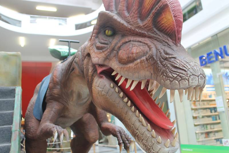 Ve zlínském Zlatém jablku probíhá expozice dinosaurů