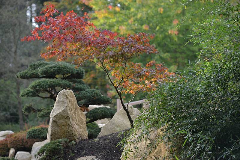 Podzim v japonské zahradě Mu-Shin.
