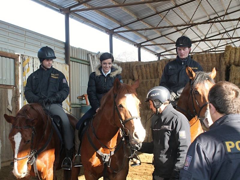 Jízdní policie koně cvičí, aby byli připraveni na hlídkování v ulicích. Ty luhačovické střeží ze sedel policejní jezdkyně, zatímco na skupinový trénink dohlíží vedoucí hipologického oddělení Bohumil Miklas. 