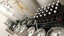Ve zlínské části Malenovice je v provozu od ledna letošního roku pivovar. Vyrábějí tam a prodávají pivo Zlínský švec.