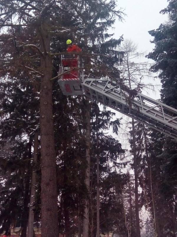 Odbornou přípravu s obsluhou motorové pily za ztížených podmínek absolvovali hasiči ze Zlína.