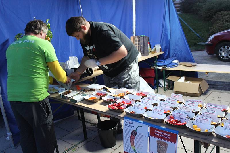 Čtvrtý ročník Malého burger festivalu přilákal na kroměřížské Hanácké náměstí milovníky dobrého jídla a pití.