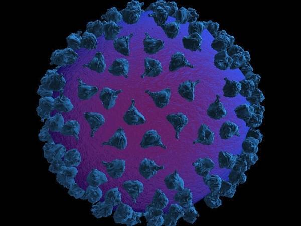 Virus HIV