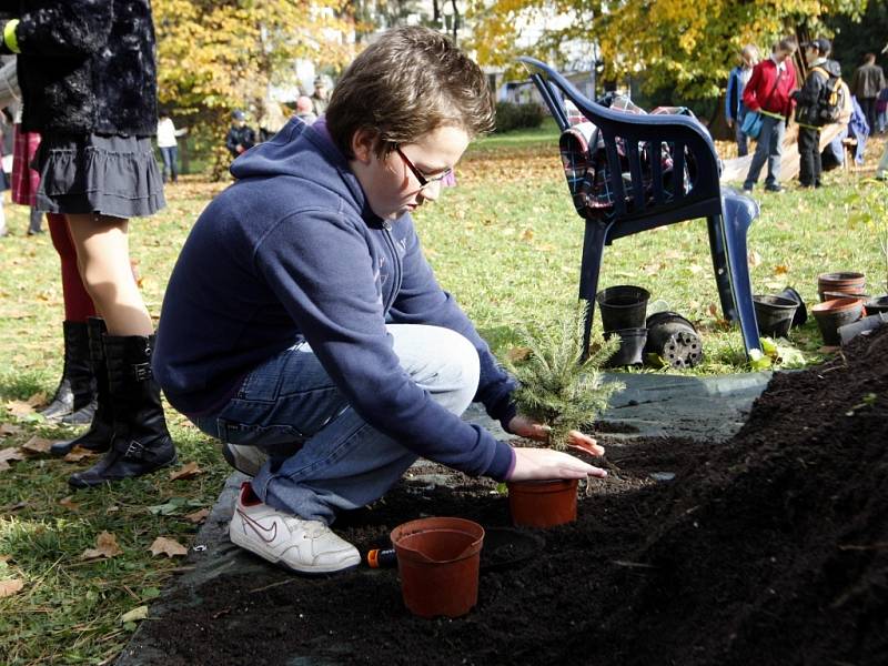 Stromové slavnosti – Den stromů v parku Sad Svobody ve Zlíně.