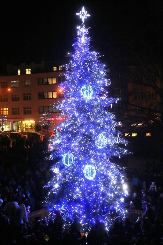 Vánoční strom Zlín - náměstí Míru