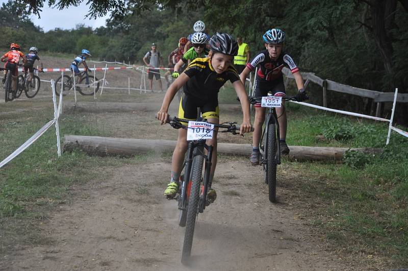 Mladí otrokovičtí bikeři sbírali úspěchy v Touškově, Zašové i ve Zlínské 50