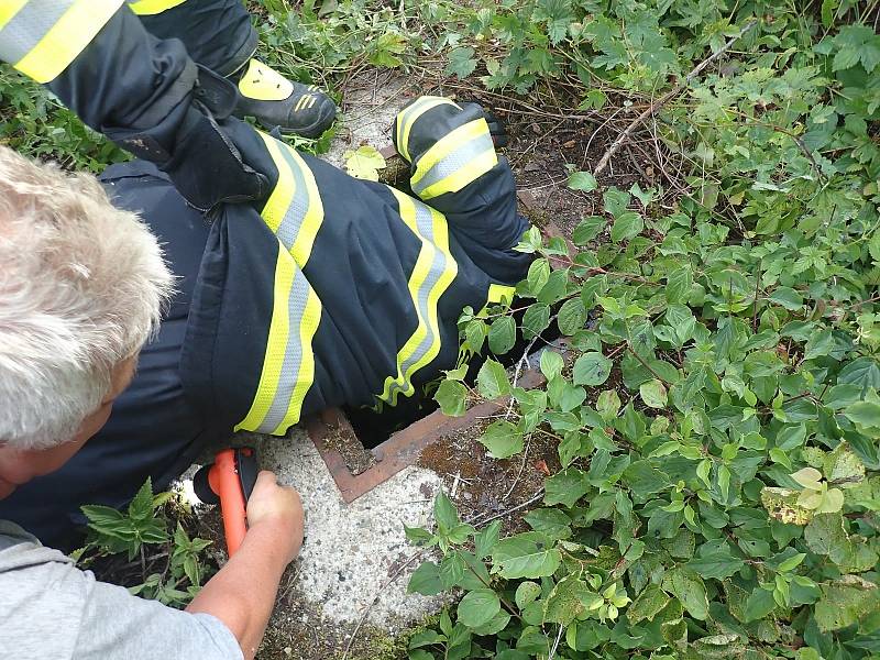 Srnu ze dna kanálu museli vyprostit hasiči