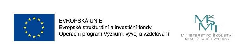 Vzdělávání pedagogických pracovníků v oblasti sociálních sítí.