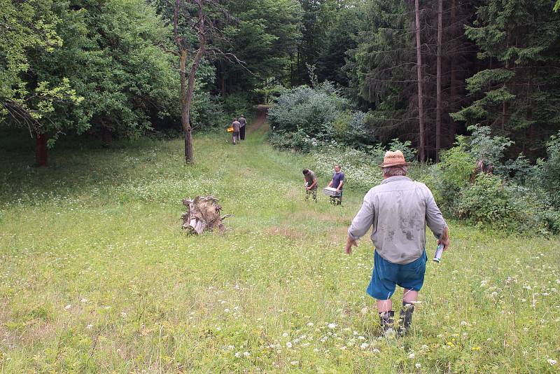 Myslivci v regionu rozmisťovali pachové ohradníky. Ty mají zabránit migraci divočáků a dalšímu roznesení nákazy.