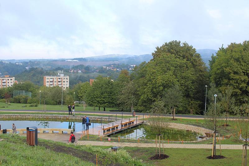 Vodní biotop na Jižních Svazích ve Zlíně