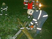 Profesionální i dobrovolní hasiči vyjížděli na odstraňování stromů ze silnic.