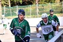 1. hokejbalová liga Malenovice - Bulldogs Brno.