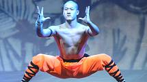 Kouzlo Shaolinu ve Zlíně