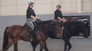 Zlínská jízdní policie: tvrdá práce a láska ke koním. V Tlumačově se jí  daří - Zlínský deník