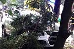 Osobní automobil narazil do stromu, který poté zablokoval dveře spolujezdce. Žena, která na místě seděla, byla odvezena do nemocnice.
