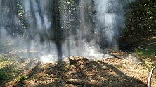 V Lukovečku na Zlínsku hořel lesní porost. Hasičům komplikoval zásah špatný terén i horko.