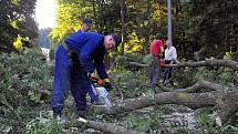 Zlínští strážníci pokáceli nespočet stromů a pořezali velké množství naplaveného dřeva.