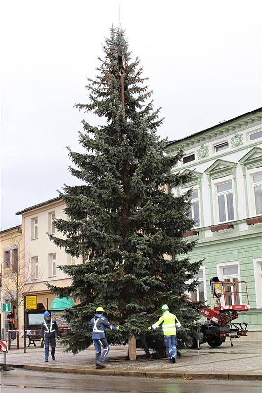 Přivezení a instalace vánočního stromu na Masarykově náměstí v Rožnově pod Radhoštěm; pondělí 21. listopadu 2022
