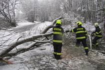 Zlínští hasiči odstraňovali strom ve Zlíně na ulici Nad Stráněmi, který spadl na chodník