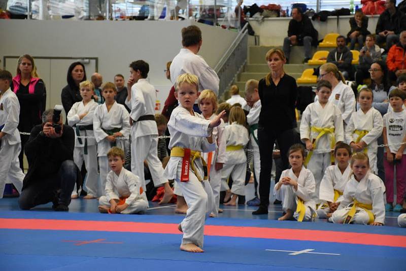 Zlínští karatisté získali na letošním mistrovství České republiky devětatřicet medailí a dvanáct titulů národních šampionů. Foto: Akademie karate Zlín, Luisa Prokopová