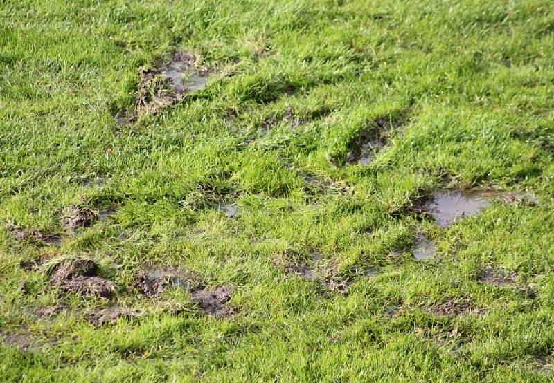  fotbalový krajský přebor žen Holešovské holky-Valašské Klobouky