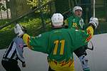 Národní liga v hokejbalu, 5. čtvrtfinále play off, Malenovice - Sudoměřice