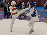 V Budapešti konal prestižní turnaj Taekwondo - kyorugi, na němž se představili členové klubu Taekwondo Zlín.