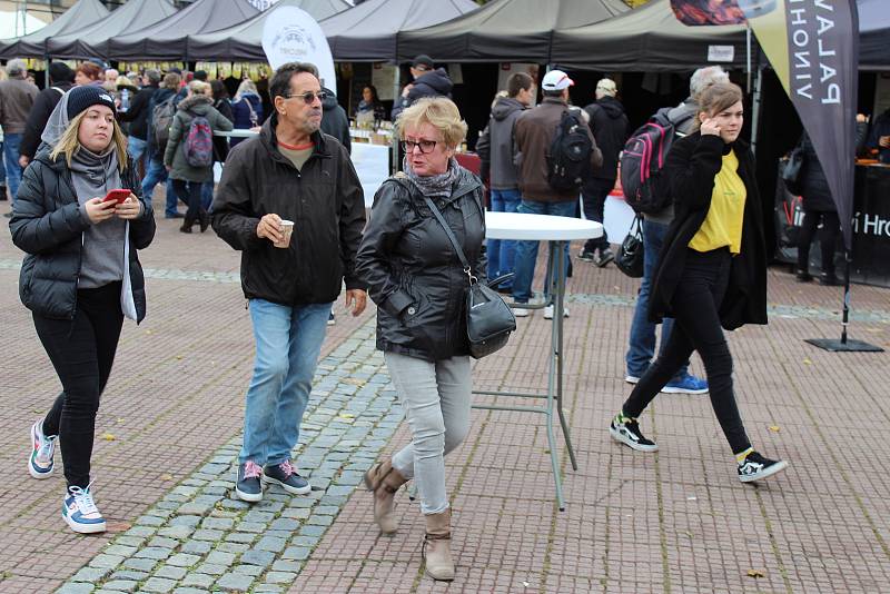 Svatomartinské hody v centru Zlína