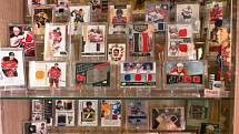 All Jersey cards