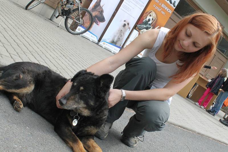 Ve zlínském Útulku pro zvířata v nouzi se v sobotu 21. dubna 2012 konalo Útulkové jaro. Více než stovka lidí vyrazila s přidělenými psy na procházku po okolí.