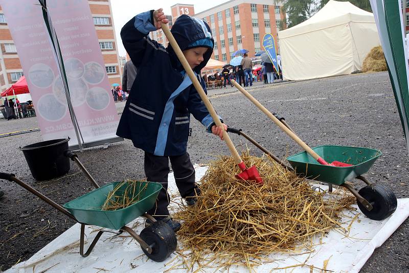 DEN ZLÍNSKÉHO KRAJE 2017