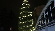 Vánoční strom Zlín - Přílucká