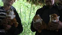 Ve zlínské zoo pokřtili mláďata tygra ussurijského.
