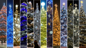 Rozzářené symboly Vánoc už zdobí města a vesnice na Zlínsku. Kde mají ten nejhezčí vánoční strom?