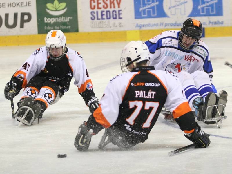 Ve Superfinále sledge hokejové ligy vyzval vítěz základní části Lapp Zlín (v černém) druhé Sharks Karlovy Vary.