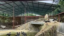 Díky sbírce 4Nature postupně vzniká v zoologické zahradě Zoologico el Pantanal Ekvádor skutečně moderní záchranné centrum pro zvířata místní fauny.
