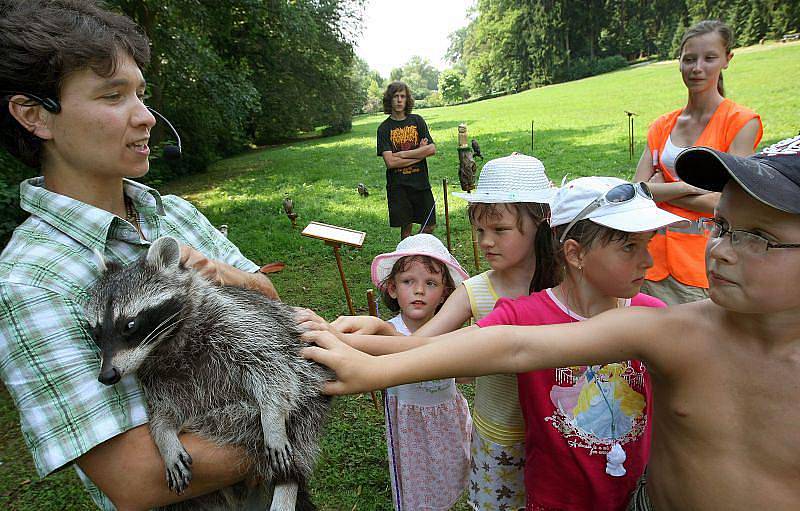 Ve zlínské zoo na Lešné předvedli v sobotu 17. července ochránci přírody ze záchranné stanice v Hošťálkové své dravce, které kvůli zraněním, nebo ztrátě přirozené plachosti už nemohou vypustit zpátky do přírody.