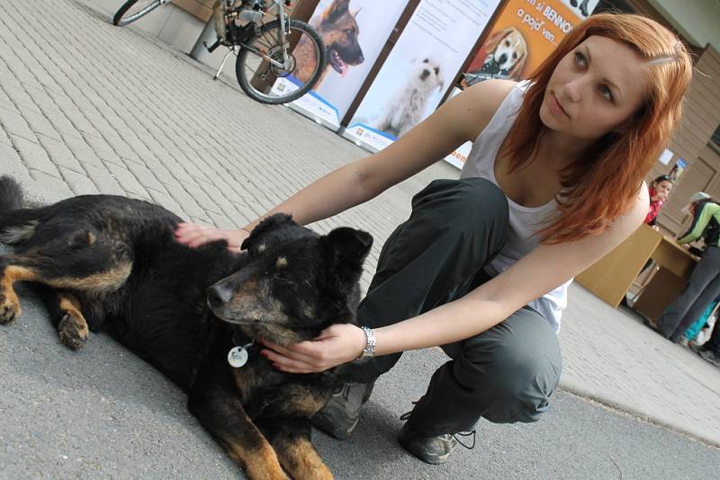 Ve zlínském Útulku pro zvířata v nouzi se v sobotu 21. dubna 2012 konalo Útulkové jaro. Více než stovka lidí vyrazila s přidělenými psy na procházku po okolí.