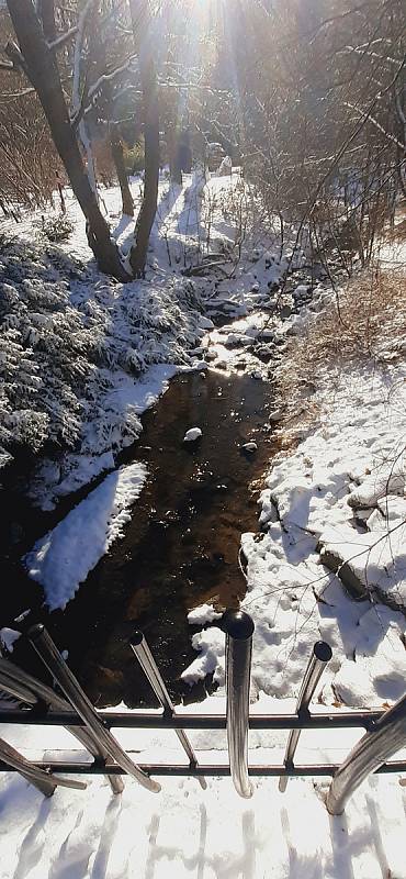 Procházka v zasněžené Zoo Zlín - 22. 1. 2022