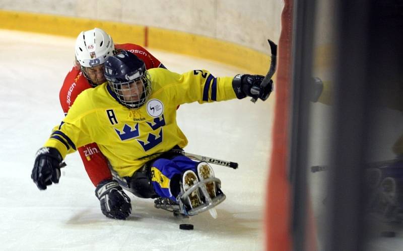 Mezinárodní sledge hokejový turnaj Baltaci cup 2O13 ve Zlíně.