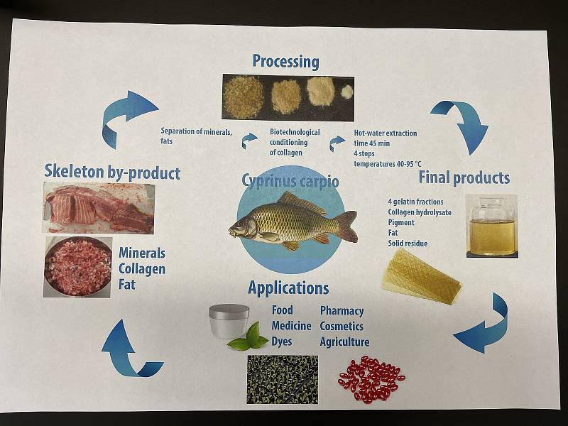 Výzkum využití produktů při zpracování ryb