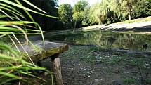 Odborná firma zbavuje rybník ve vizovické zámecké zahradě bahnitého sedimentu a provádí jeho revitalizaci.