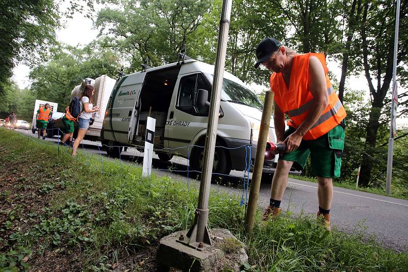 Elektrické ohradníky by měly zabránit migraci prasatům nakaženým africkým morem prasat. Ohradníky dnes začali pracovníci najaté firmy instalovat v úseku Zlín-Fryšák.