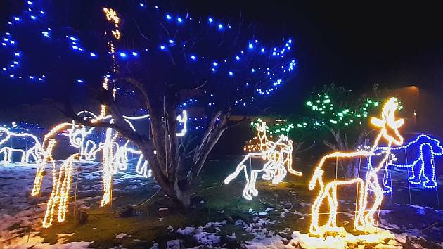 Okouzlující podívaná! Zoo z tisíců světýlek láká lidi z celé Moravy -  Novojičínský deník