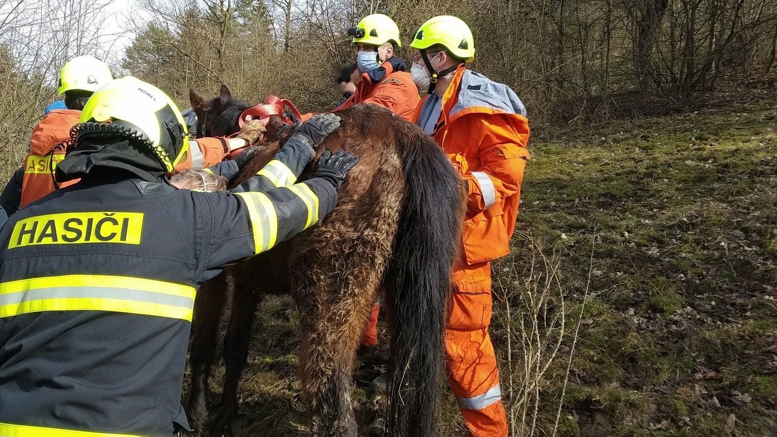 Ve Zlíně uvízl kůň v blátě, zachránili ho hasiči - Zlínský deník