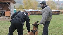 Útvar kynologické služby městské policie ve Zlíně-figurant se psem Cairo