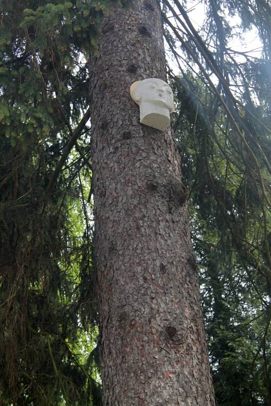 Stezka ptačích budek i dámy na kolonádě