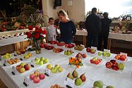 Okresní výstava ovoce a zeleniny v Machové